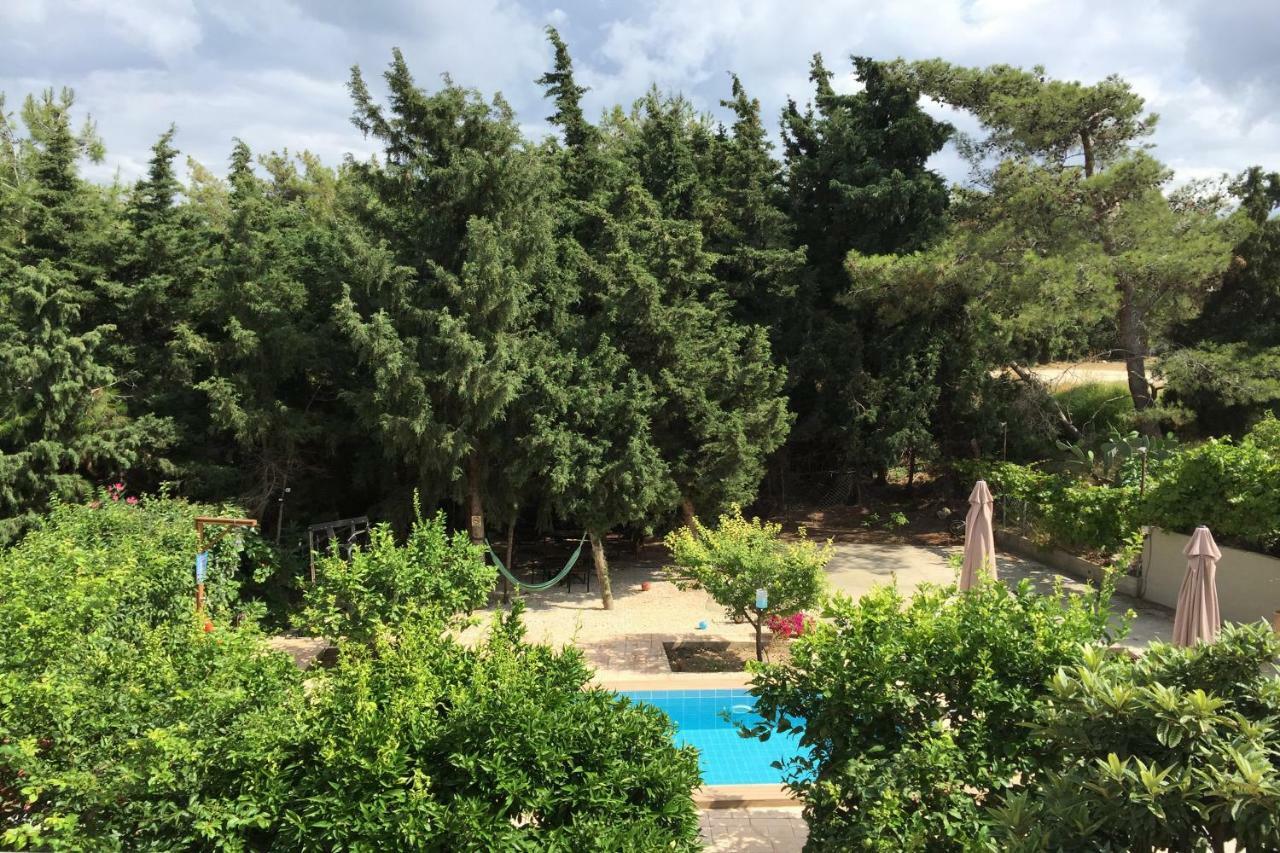 Sunny Rhodes Villa Koskinou  Exteriér fotografie